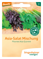 Bio-Pikantes Asia-Salat Quartett