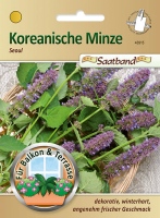 Koreanische Minze 2m Saatband MHD 01/25