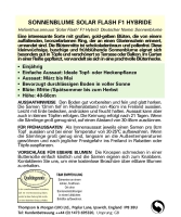 Sonnenblume Solar Flash ca.50cm