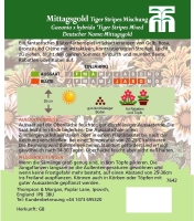Mittagsgold (Gazanie) Tiger Stripe Mix MHD 12/25
