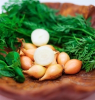 Centurion F1 Früh 1Kg (2x500g)