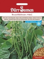 Buschbohne Maxi 250g