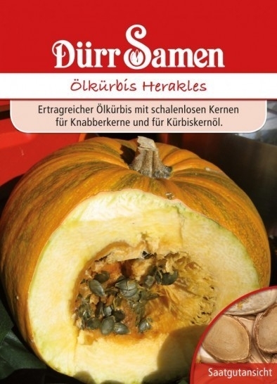 Ölkürbis Herakles MHD 12/25