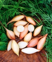Birnförmige 500g (2x250g)