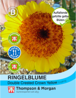 Ringelblume Double Crested Crown Yellow