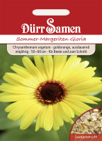 Sommer Margeriten Gloria MHD 12/24