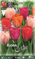 Tulpe van Eijk Mischung 45cm 10 Stk.