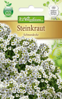 Steinkraut Schneedecke