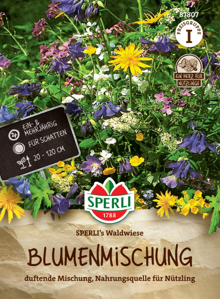 Blühende Waldwiese