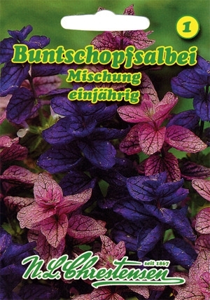 Buntschopfsalbei Mischung MHD 12/25