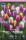 Tulpe Single Early Mix 35cm 10 Stk.