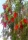 Hängender Flaschenputzer