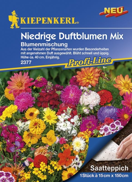 Blumenmix Saatteppich Niedrige Duftblumen Mix MHD 01/25