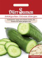 Salatgurken Chinesische Schlangen