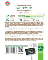 Winteraster Mischung