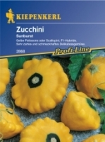 Zucchini Squash Sunburst