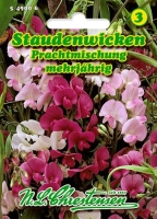 Staudenwicken