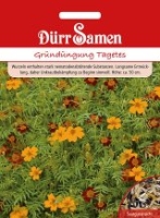 Gründünger Tagetes 7,5g / 10m²
