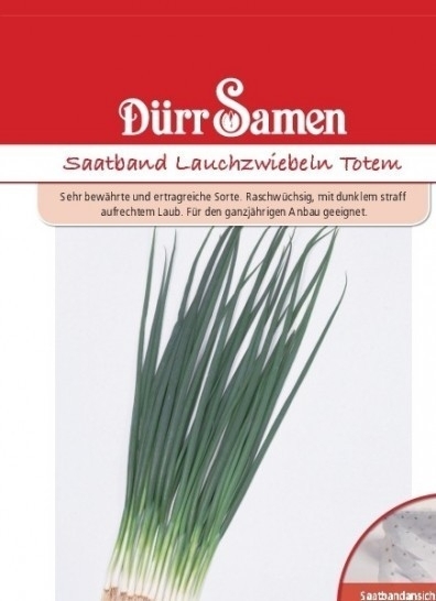 Lauchzwiebel Totem Saatb.5m