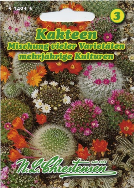 Kakteen Mix MHD 01/27