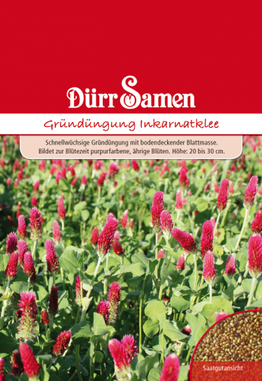 Gründünger Inkarnatklee 75g