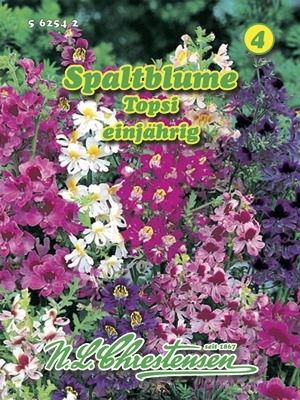 Spaltblume Topsi MHD 01/25