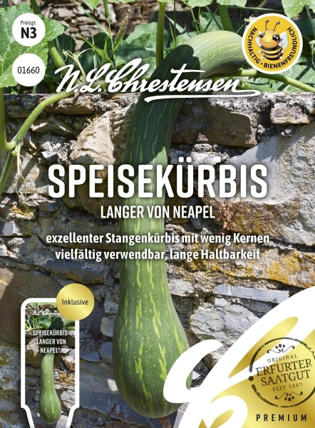 Speisekürbis Langer von Neapel