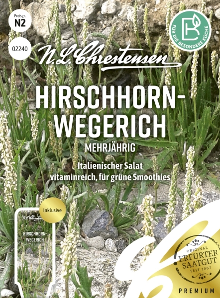Hirschhornwegerich