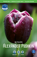 Tulpe Alexander Pushkin 10 Stk.
