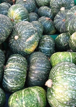 Hokkaidokürbis grün