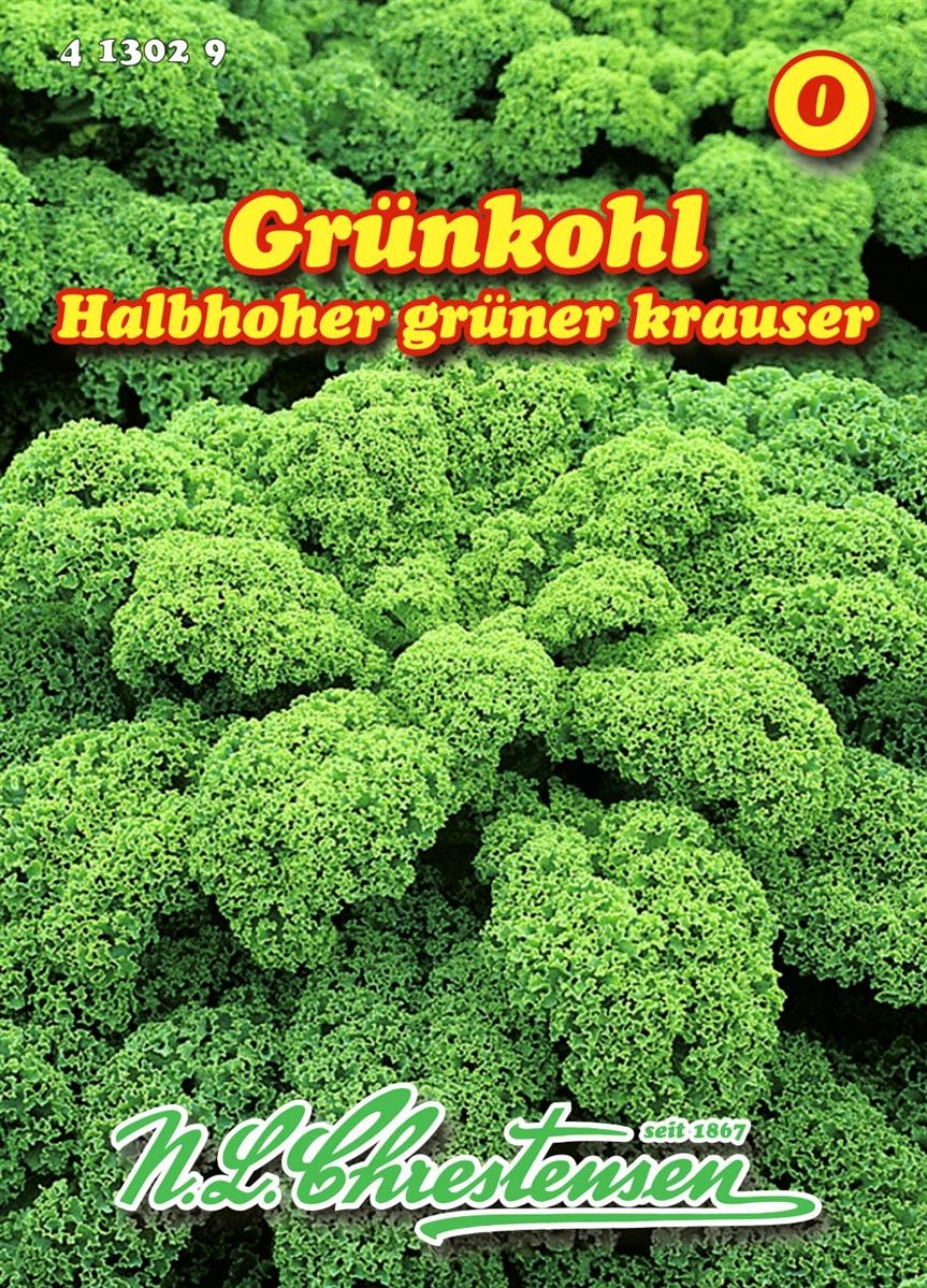 Semi Di Cavolo Riccio 'Halbhoher Grüner Krauser' Biologici - Circa 100 Semi Per Orto