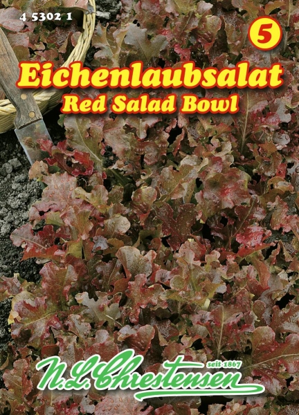 Eichenlaubsalat Salad bowl rossa MHD 01/26