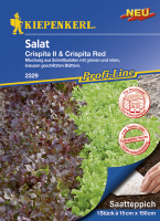 Salat Crispita Mix Saatteppich 150 x15cm