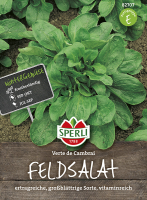 Feldsalat Verte de Cambrai