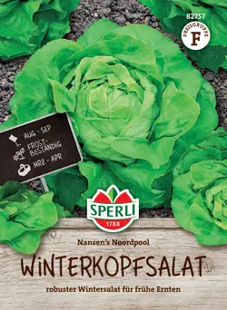 Winterkopfsalat Nansen`s Noordpool