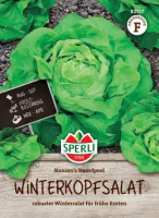 Winterkopfsalat Nansen`s Noordpool