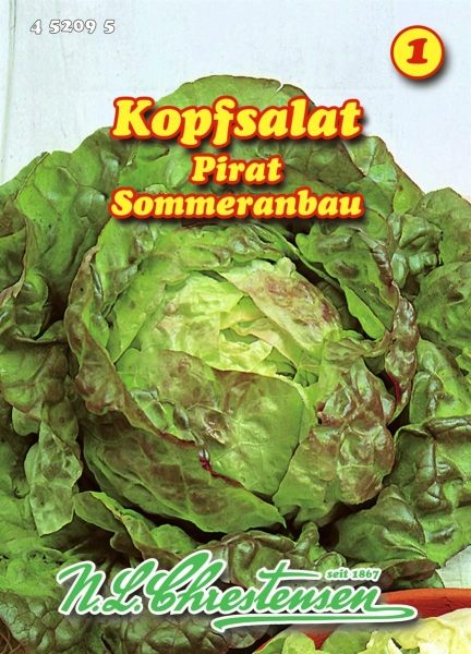 Kopfsalat Pirat MHD 01/25