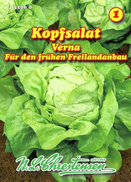 Kopfsalat Verna MHD 01/26