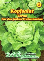 Kopfsalat Verna MHD 01/26