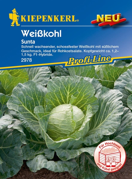 Weißkohl Sunta