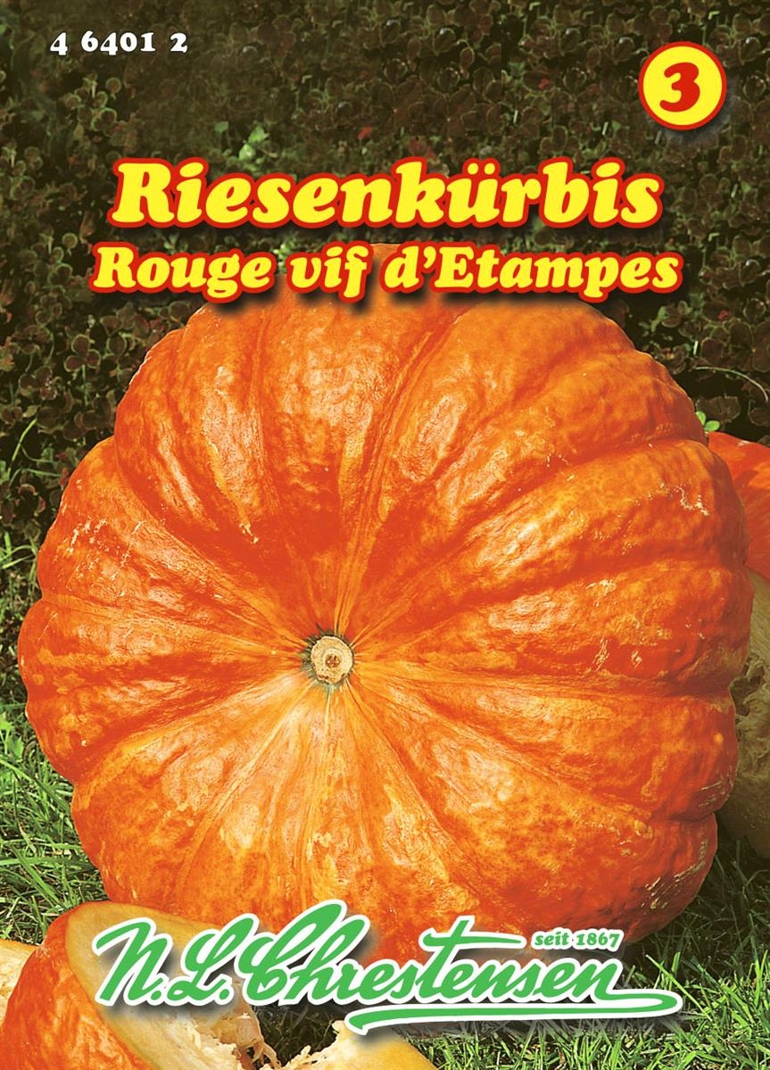 riesenk-rbis-roter-zentner-1-95