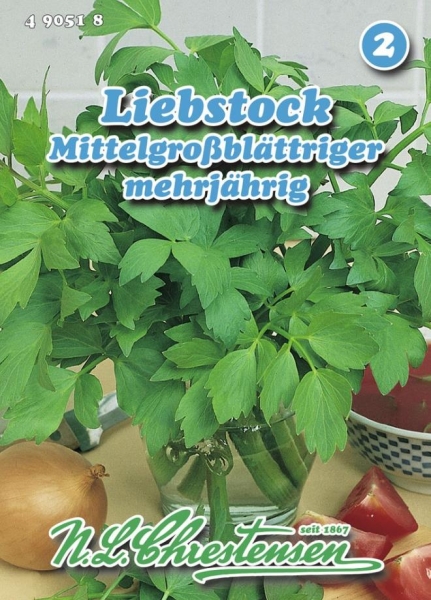 Liebstock, mehrjährig