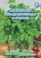 Liebstock, Maggikraut mehrjährig