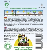 Liebstock, Maggikraut mehrjährig