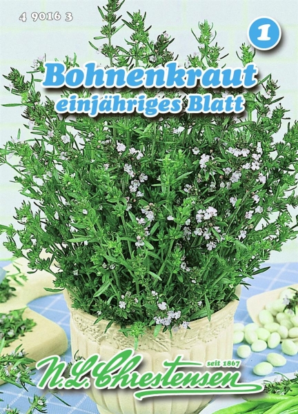 Bohnenkraut einjähriges Blatt