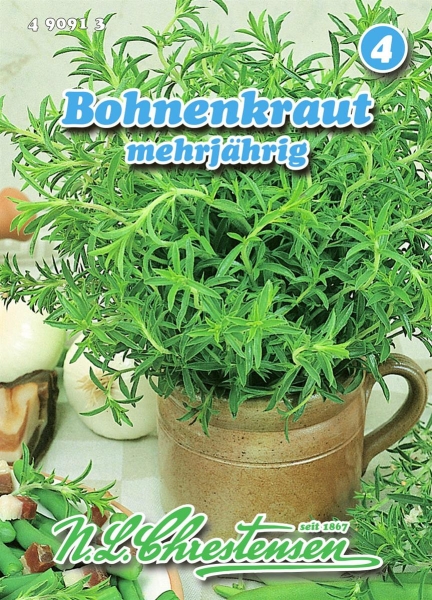 Bohnenkraut mehrjährig