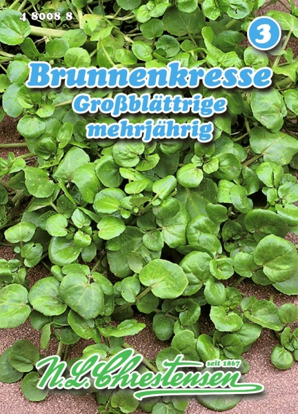 Brunnenkresse Großblättrige