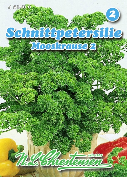 Schnittpetersilie Mooskrause 2