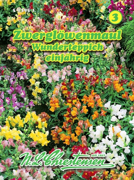 Zwerglöwenmaul Wunderteppich MHD 01/26