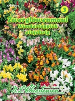 Zwerglöwenmaul Wunderteppich MHD 01/26